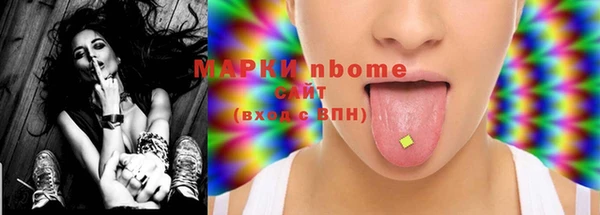 твердый Няндома