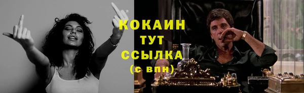 кокс Алексин
