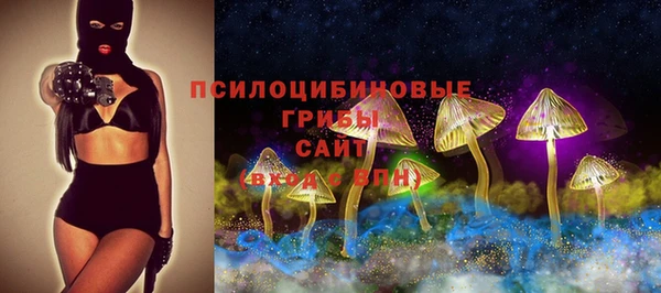 кокс Алексин