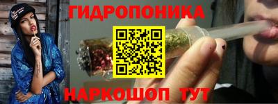 гашик Обнинск